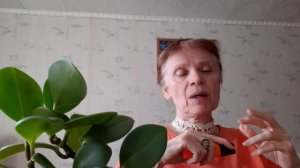 Нефть падает. Сбер растёт. Что происходит?