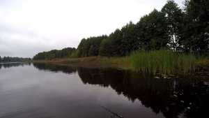 Ловля щуки на любимом водоеме.  Рыбалка в конце августа