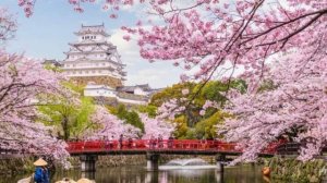 Музыка Для Медитации ( Гармония, Инь Янь, Япония, Спокойствие, Дзен )