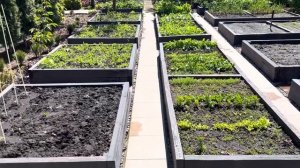 ПЛЮСЫ И МИНУСЫ ВЫСОКИХ ГРЯДОК НАШЕГО ОГОРОДА!?КАК ВСЁ УСТРОЕНО!✅