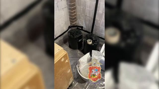 В Подмосковье полицейскими задержан иностранец, приехавший в Россию для синтеза наркотиков