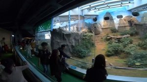 Гонконг Ocean Park это бомба...Парк развлечений.