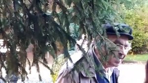 ВЕСЁЛЫЕ ПОСИДЕЛКИ, В ПАРКЕ, ПЕСНИ И ТАНЦЫ ПОД БАЯН,