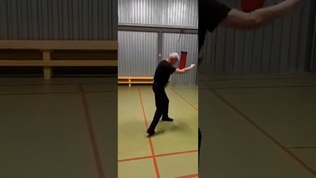 Ушу в Тобольске. Базовые принципы боевого ушу смотреть онлайн