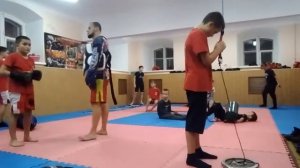 Круговая тренировка для единоборств US Champion