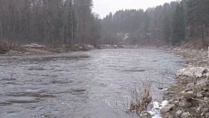 Река Держа апрель 2023