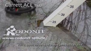 Металлоискатель в аренду