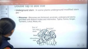 CUET B.Sc. Biology 2023 || CUET- UG Bsc Biology Reproduction || CUET B.Sc Biology Syllabus & Patter