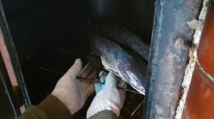 РЫБА ГОРЯЧЕГО КОПЧЕНИЯ | КОПЧЕНЫЙ АФРИКАНСКИЙ СОМ | ПРОСТОЕ КОПЧЕНИЕ РЫБЫ | КАК ВКУСНО КОПТИТЬ РЫБУ