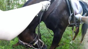 Падение с лошади от первого лица на GOPRO - ЖЕСТКОЕ падение с жеребца