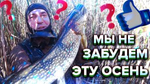 ПОДВОДНАЯ ОХОТА НА САЗАНА . СОМА. ЩУКУ. КАРАСЯ. ОСЕННЕЕ ЗАКРЫТИЕ СЕЗОНА 2022 года.