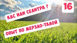 КАС или Селитра - опыт 2020 по мерзло-талой почве, начало...