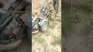Мотоблок КПП ЗАЗ окучивание картошки.