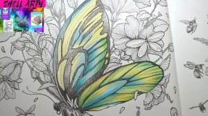 Part 2 FRAGILE WORLD, KERBY ROSANES, QUEEN ALEXANDRA'S BIRDWING BUTTERFLY, cont... from part 1