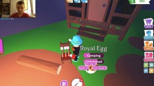 Что выпадает из королевских яиц в Адопт Ми? Royal egg в Adopt me.