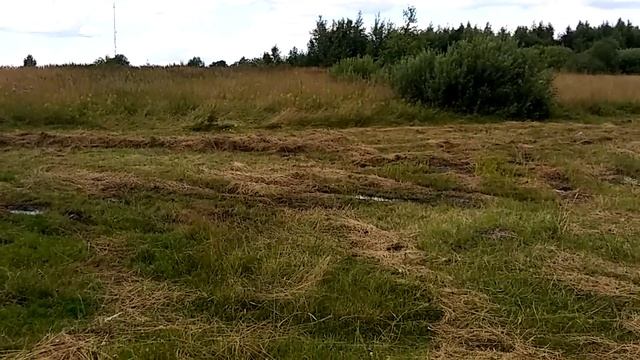 Грабли солнышко на 22 колеса в работе. смотреть онлайн