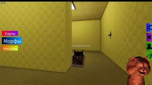 НАШЛИ ВСЕ МОРФЫ ?В РОБЛОКС СИМУЛЯТОР КОТЁНОК ГЕЙМЕР backrooms map Find The Floppa Morphs