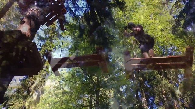 Веревочный парк Tree to tree или Вадиму 27. смотреть онлайн