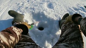 Рыбалка на обском.Небольшой Улов.ОВХ