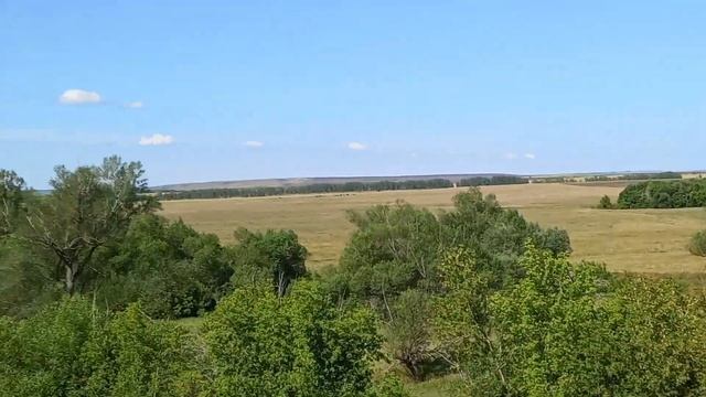 Заработать в деревне легко! Летний заработок в деревне без вложений. Сбор трав для чая как бизнес смотреть онлайн