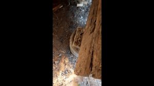 Ремонт старого гнилого сарая, реинкарнация в столярную мастерскую