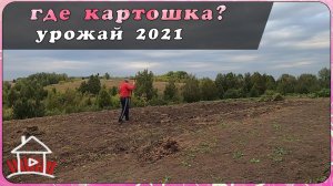 Урожай картошки 2021. Будни деревенщины.  (Live Video)