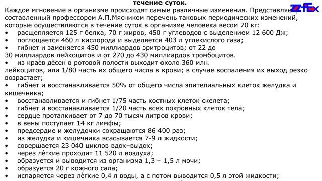 Некоторые биоритмологические характеристики организма человека в течение суток