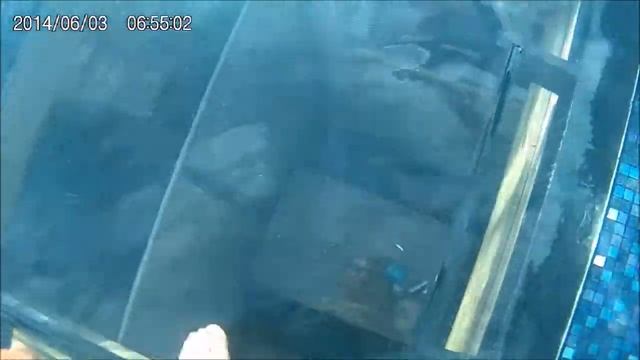 Ялта Интурист Воронцовские бани Коляндра парится в сауне с прозрачным потолком
