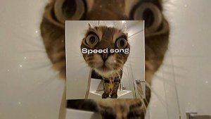 Йопи йо (speed up)