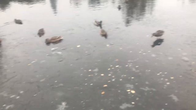 11 часть КУРЕКАС (Локация Уткин Хаус) смотреть онлайн