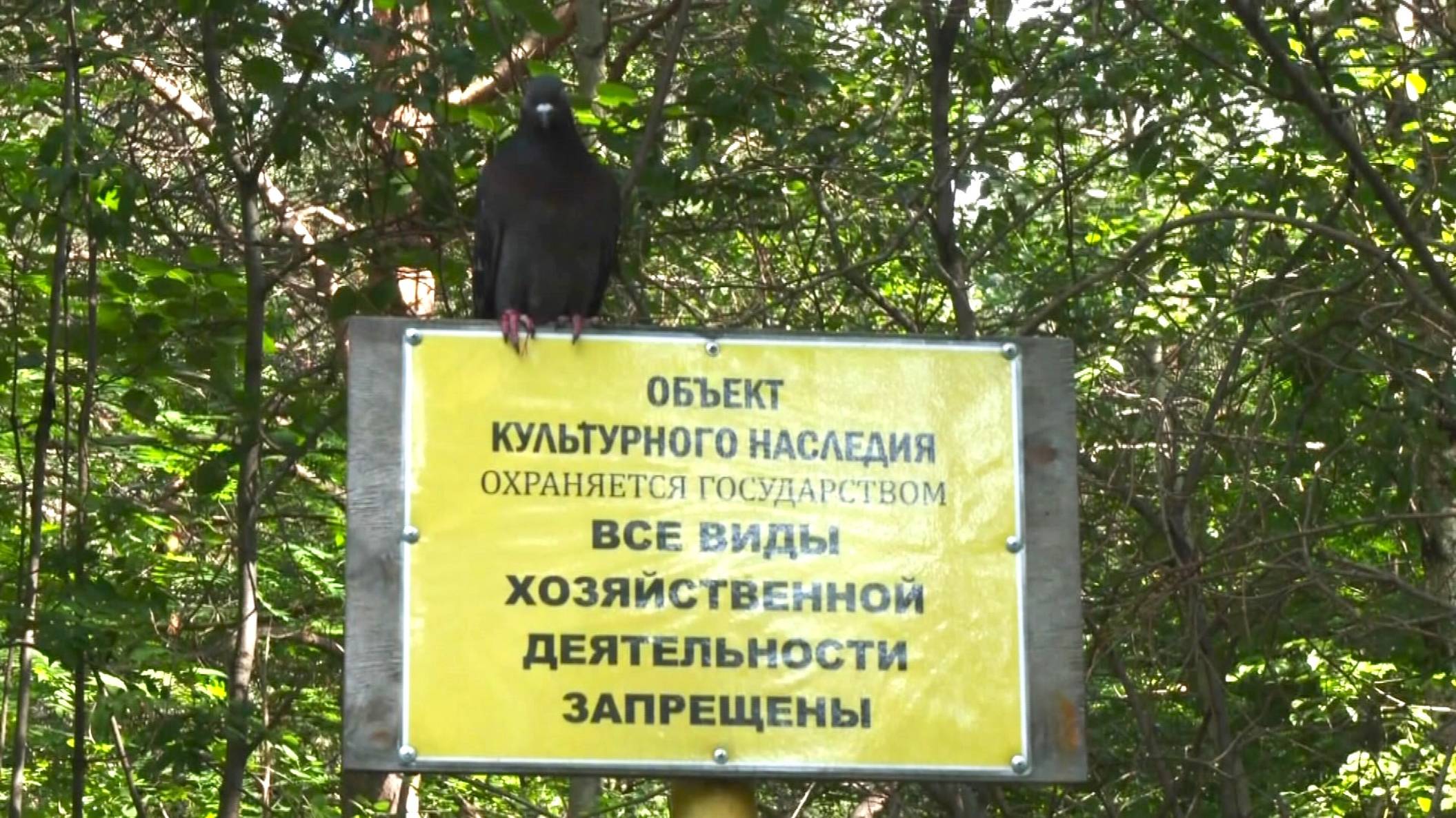 В парке Сургута проведут археологические раскопки