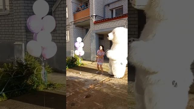 зажигательные танцы с белым медведем #умка #великийновгород #праздник смотреть онлайн