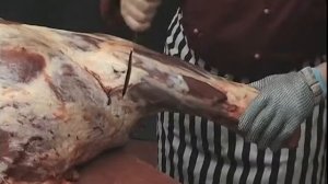 Beef Forequarter Shin Primal Removal.flv