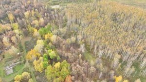 Осень в Тюменской области