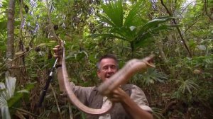 Охотники на змей! Мисливці на змій! Видео 14