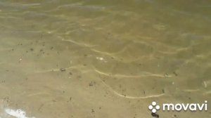 рыбалка и отдых на реке Дон #рыбалканадону