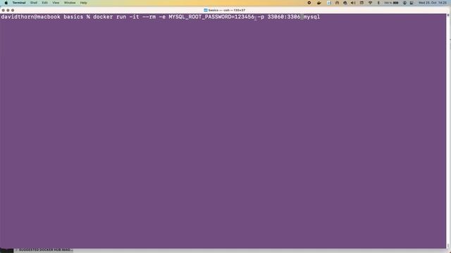 Docker Basics - Lesson 9 - Running a mysql server смотреть онлайн