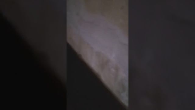 Ж.О.П.А.Старая Русса Новоооодская обл.06.11.19 Потоп смотреть онлайн