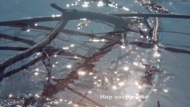 Мир вокруг нас. Красота осенней природы.
