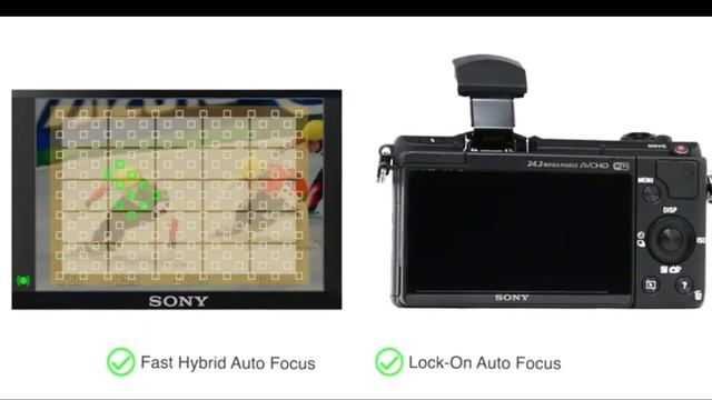 Sony Alpha ILCE5100L 24 3MP Digital SLR Camera смотреть онлайн