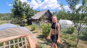 Счастливая жизнь в деревне! Наш сад и огороде, знакомимся поближе