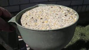 Чтобы не было расклева яиц.  Как правильно кормить кур.