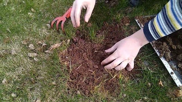 Как избавиться от следов крота на газоне смотреть онлайн