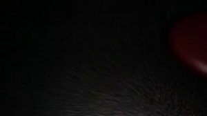 Ситроен Ксара Пикассо сброс межсервисного счётчика