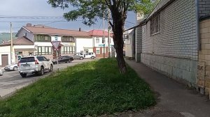 Кисловодск. Бродячие собаки и необходим пешеходный переход Алиева-Жмакина. 5.06.2024 г.