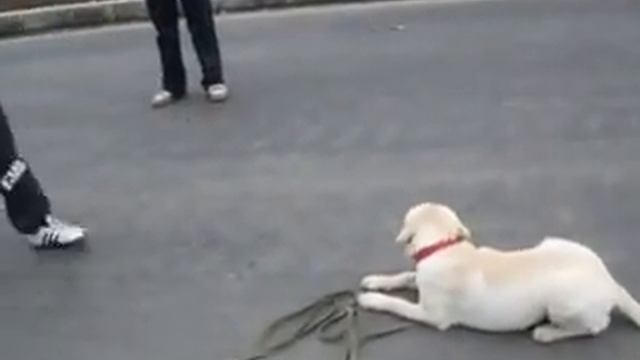 Выдержка - это главное смотреть онлайн