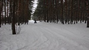 По сугробам на "Мотораге", муравей + инвалидка(С-3Д)