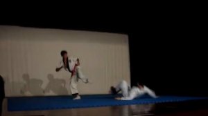 Sin Moo Hapkido demonstration (2008) part 1/2