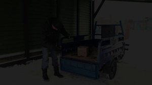Год на деревенской Тесле - стоило ли покупать электротрицикл?