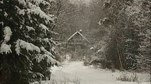 Есенин. Заметает пурга белый путь